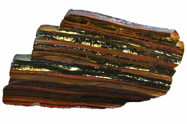Polished Tiger Iron Stromatolite Slab - Billion Years #162002